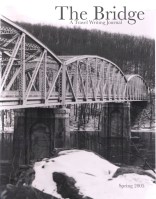 The Bridge Issue One Cover